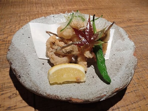 2025年11月22日　がっちょ！