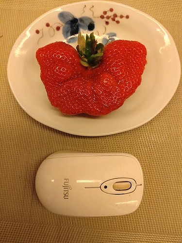 2025年1月10日　でか！