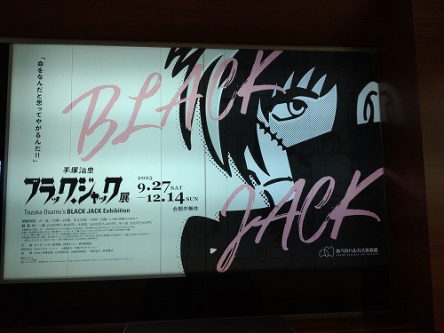 2025年11月17日　ブラックジャック！