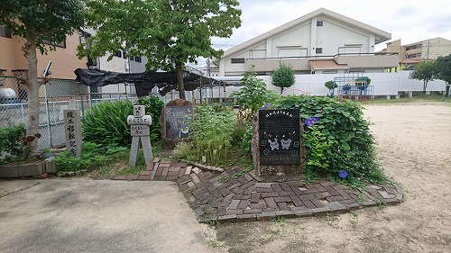 最後の歯科検診