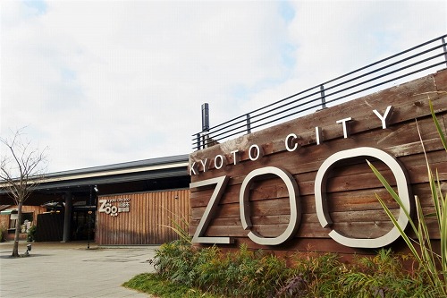 kyotozoo